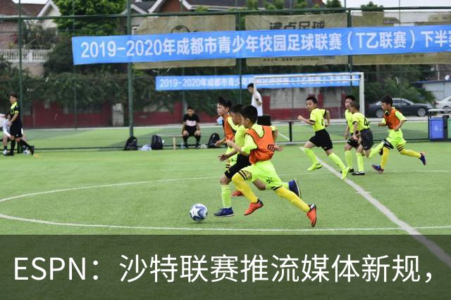 ESPN：沙特联赛推流媒体新规，C罗或凭10亿粉丝获巨额分成